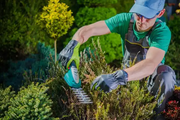 landscaping services Northview